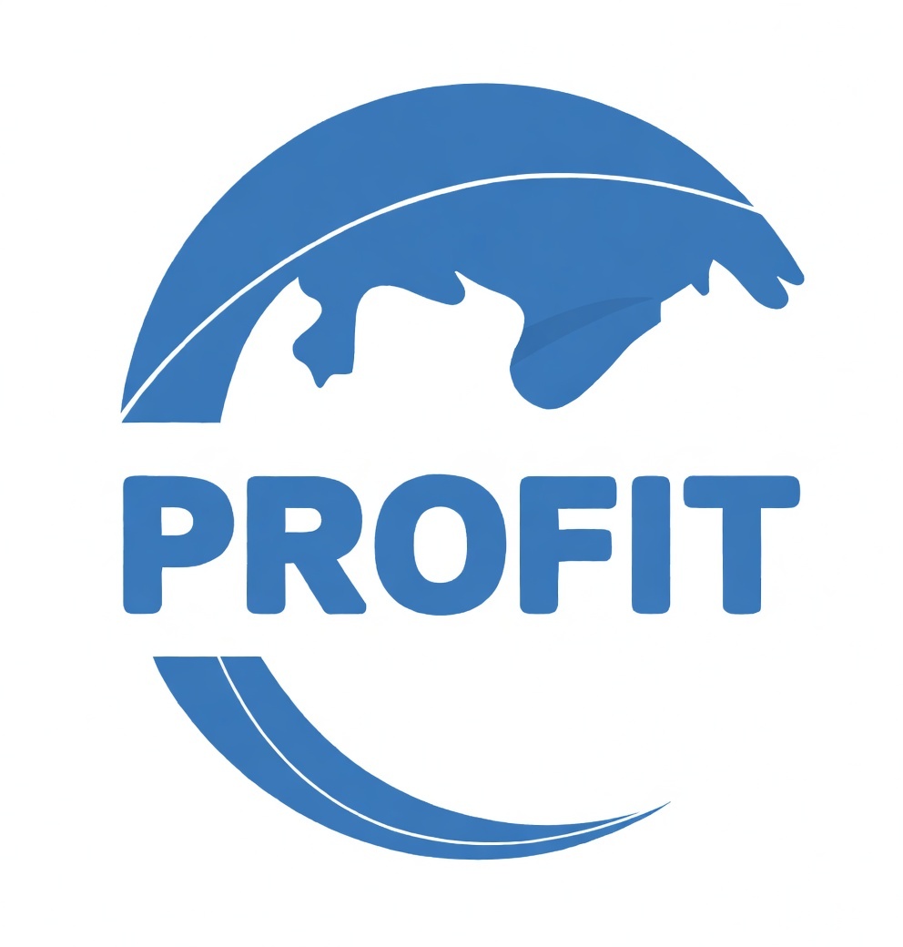 FASTWIN PROFX logo