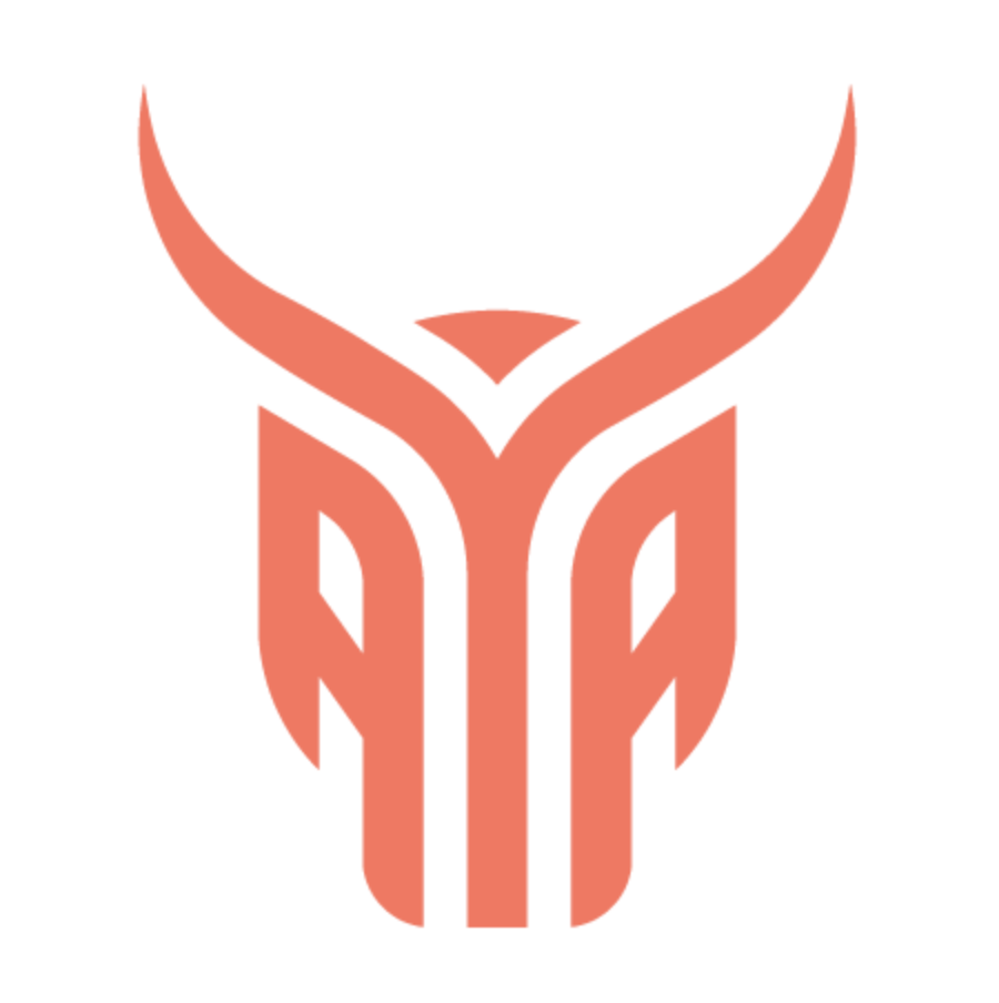 AYA MARKETS logo