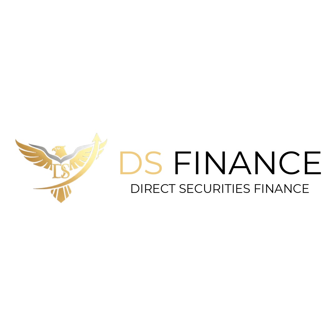 DS FINANCE logo